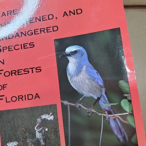 Rare, Threatened And Endangered Species In Forests Of Florida. Guide To Assist - Picture 12 of 12